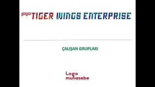 Logo Tıger Wıngs Enterprıse 3 - &Ccedil;alışan Grupları
