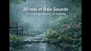 Rain Sounds in the Park 🌧️ for Relaxation & Power Nap | White Noise (30 Minutes)