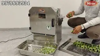 leafy vegetable cutter / vegetable cutting machine / leafy cutter machine / Nirav vegetable cutter
