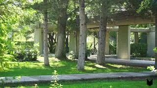 Doğanın Sesi- Meditasyon - Ders - Relaxation
