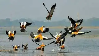 Madhubani City | ये है बिहार का शानदार शहर | Madhubani District Bihar |