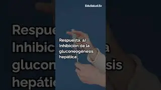 Pregunta CACES 2024
