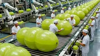 How It's Made: Amla Superfood Products (Full Factory Tour)