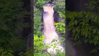 bushkill falls