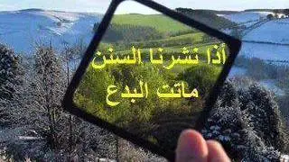 وقت راتبة الفجر الشيخ بن باز