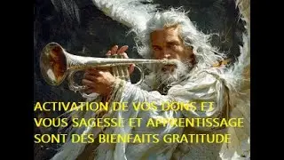 ACTIVATION DE VOS DONS ET VOUS SAGESSE ET APPRENTISSAGE SONT DES BIENFAITS GRATITUDE