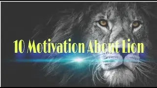 Roaring Motivation: 10 Powerful Lion Quotes#youtubeshorts#shorts#short#motivation#flyxo 