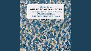 Where Song Was Born: No. 17, Pied Currawong