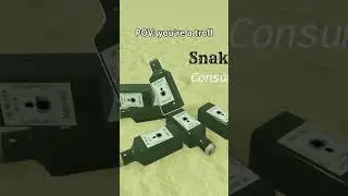 POV: you're a troll (Roblox Dead Rails) #shorts #roblox