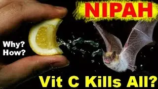 Rx NIPAH #3 (Eng) Vit C Cures Infection, Cancer, Vision, Aging,  BP & Heart | Dr.Education