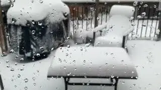 Ontario, Canada~Nov 9th,2025~ughhhh 10+cms and still snowing! Yuck!