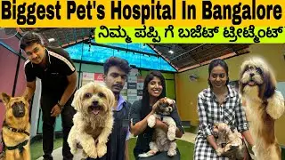 😍₹249/- DOGS AND CATS HOSPITAL || LARGEST PET HOSPITAL 😱|| SANCHU ANIMAL HOSPITAL