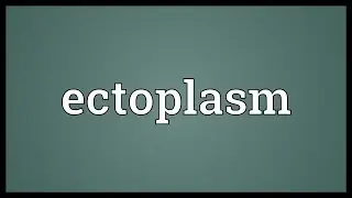 Ectoplasm Meaning
