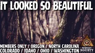 They Became Believers that Night | Bigfoot Society Members Only Episode A22 PREVIEW