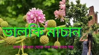 Valkimachan Travel Guide | Valki Machan Weekend Tour From Kolkata | ValkiMachan Jungle Beauty