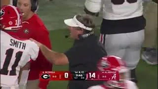 Domani Jackson Vs Georgia Offense.