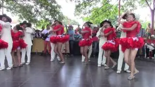 FUNLLAPASU GUAFA EN VIVO JOROPODROMO FESTIVAL DE LA SOGA HATO COROZAL 2.015