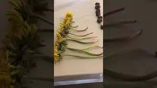 Sorting