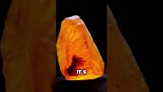 Ambergris Ocean's Gold! 5 Surprising Facts.