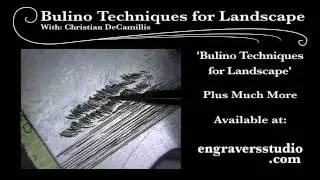 Bulino Techniques for Landscape - DVD