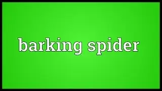Barking spider Meaning