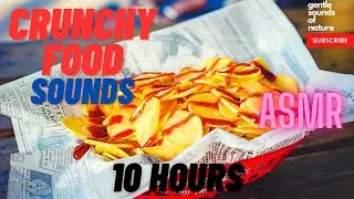 Crunchy Food Sounds ASMR (10 hours)