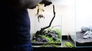 Step-By-Step Nano Aquascape: 