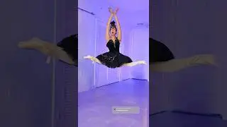 Este es un Cisne Negro que vuela 🦢🖤😂 que ballet quieren que hagamos ahora? #greenscreen