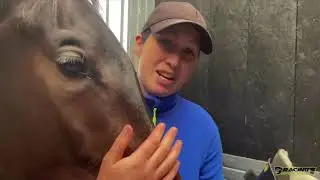 A great insight to the services provided by the Irish Equine Rehab Centre for horses