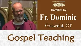 Fullness of Faith - Dec 04 - Homily - Fr Dominic