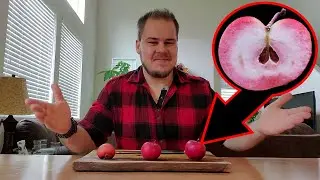 Trying My First Ever Red Fleshed Apples! | Calypso