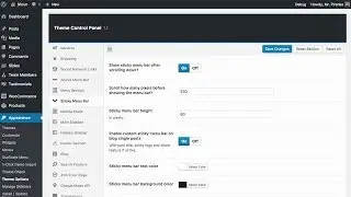 Shout WordPress Theme - Options Overview