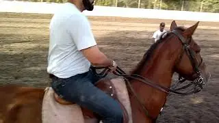 Riding School Polo Club Lahore