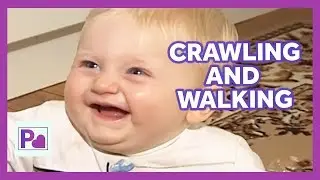 Parenthood: Baby Steps - Crawling to Walking