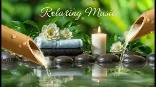 Relaxing Music with  Bamboo Water Sounds 🌿 Deep Healing and Meditation ,Spa and study