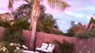 vhj