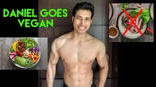 Vegan Chats - the simple basics