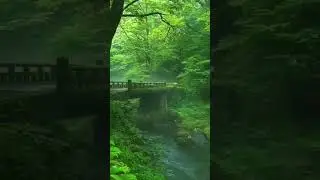 deep relaxing music/Deep sleeping music jungle sound 2022❤️❤️❤️❤️❤️❤️❤️❤️