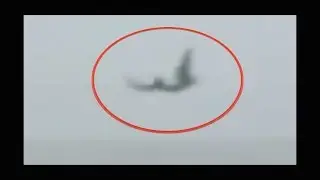 LIVING PTEROSAUR CAUGHT ON TAPE | FLYING PREHISTORIC REPTILE | Footage analysed