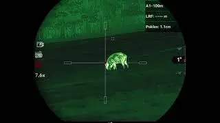 WildBoar Hunting HIKMICRO Stellar SQ50L 3.0 - 130m #thermohunterpr #foresthunting #viralvideo #fyp