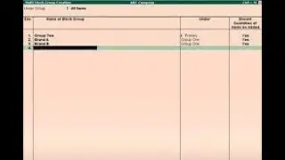 Create Stock Group in Tally Erp 9 || Stock Group Creation || Create Multiple Stock Group || Tally