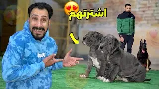 اشتريت كلاب جديده ونوع جديد في مزرعتي 😍
