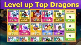 Level up my top dragons-Dragon Mania legends | Level up 50 Emun Ancient | DML