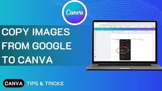 How To Copy Images From Google To Canva  (Easy Tutorial)