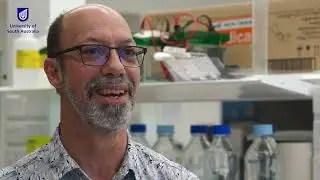 New hope for blood cancer treatment