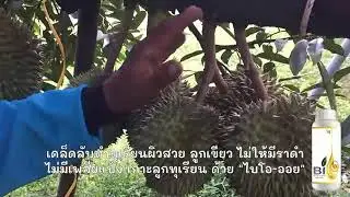 ไบ-โอออย (Bio-Oil for plant)ทำใบพืชสวย-ผิวใส ช่วยคุมไข่หนอน-แมลง