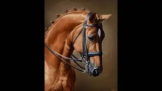 Paint this Beautiful Horse