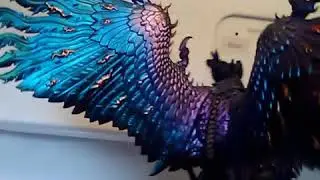 Color shift paints!