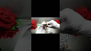 Mix Cloves With Ginger the Indian Secret, to Grow Hair Speed and Treat Baldness #shorts #short