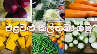 කපපු එළවළු නැවුම්ව කල්තබා ගමු | How to keep chopped vegetables fresh